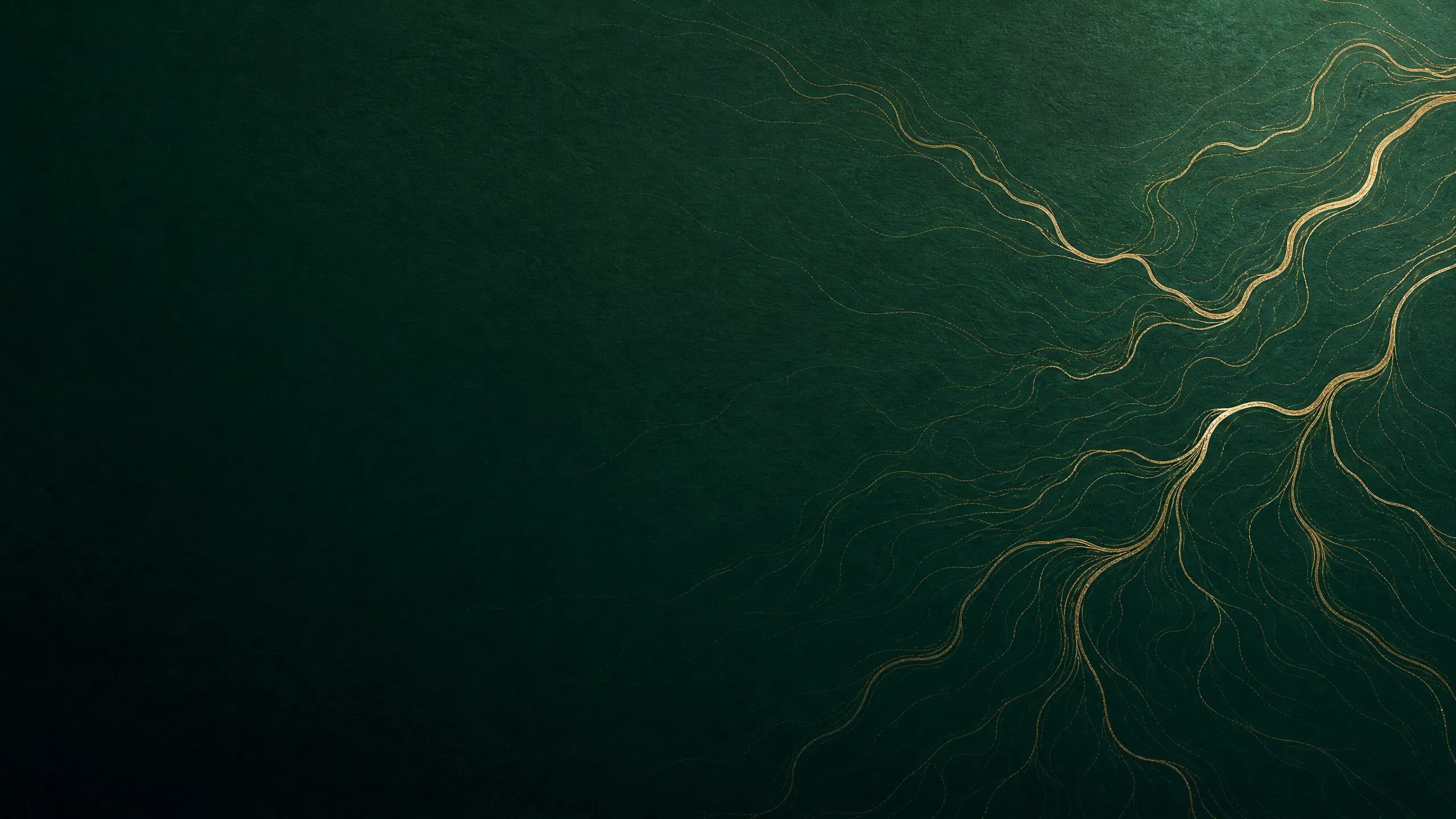Elegant editorial background with flowing gold line-work on deep racing green